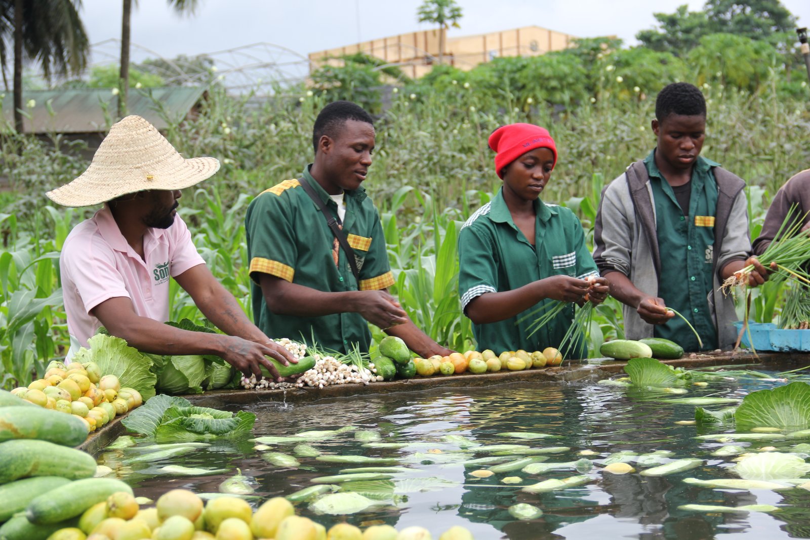 Produits frais du Centre Songhaï